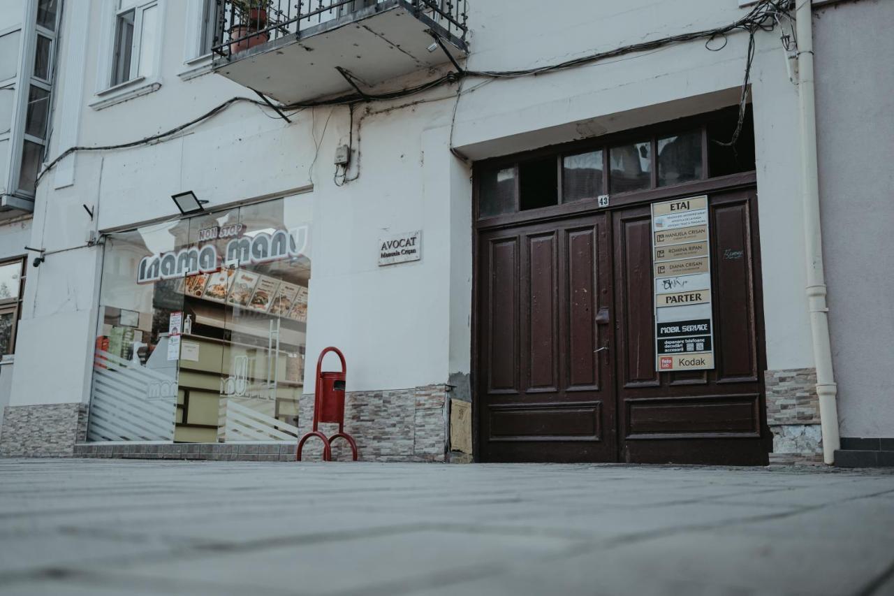 Central Studio Apartment Cluj-Napoca Exterior photo