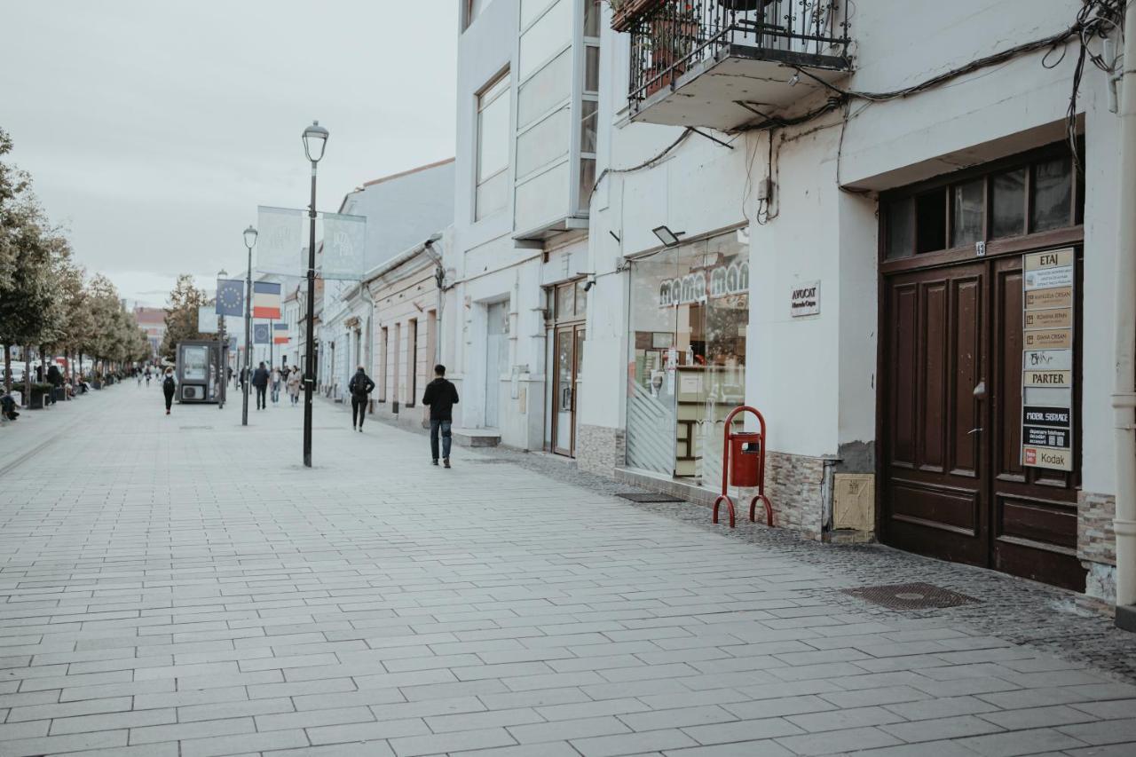 Central Studio Apartment Cluj-Napoca Exterior photo